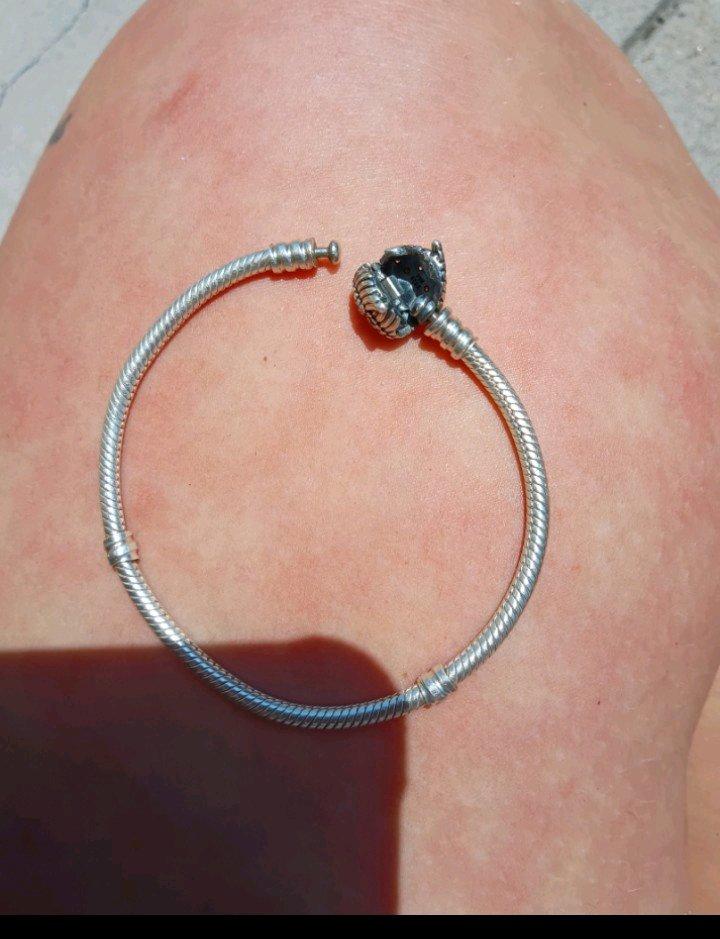 Pandora Heart Wings Clasp Snake Chain Bracelet