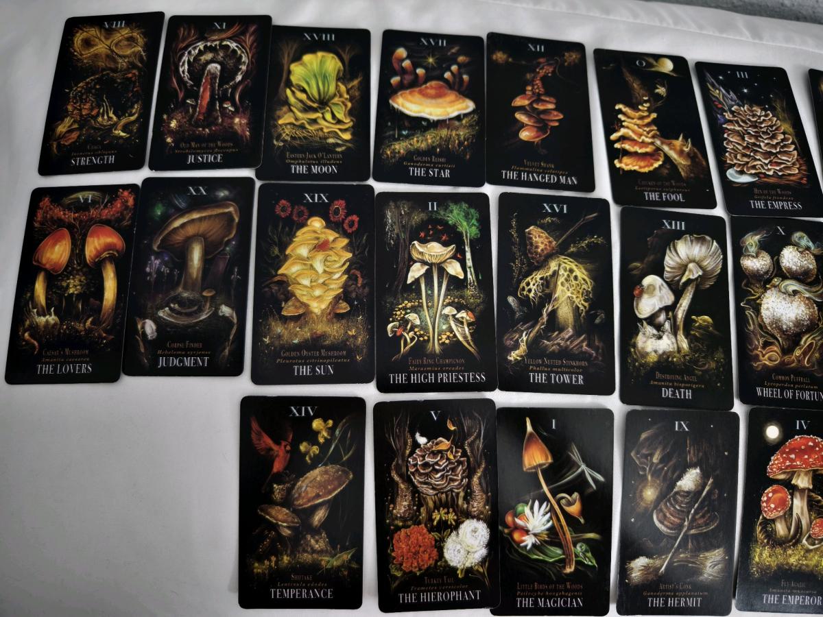 Mushroom Tarot deck by Midnight Magic