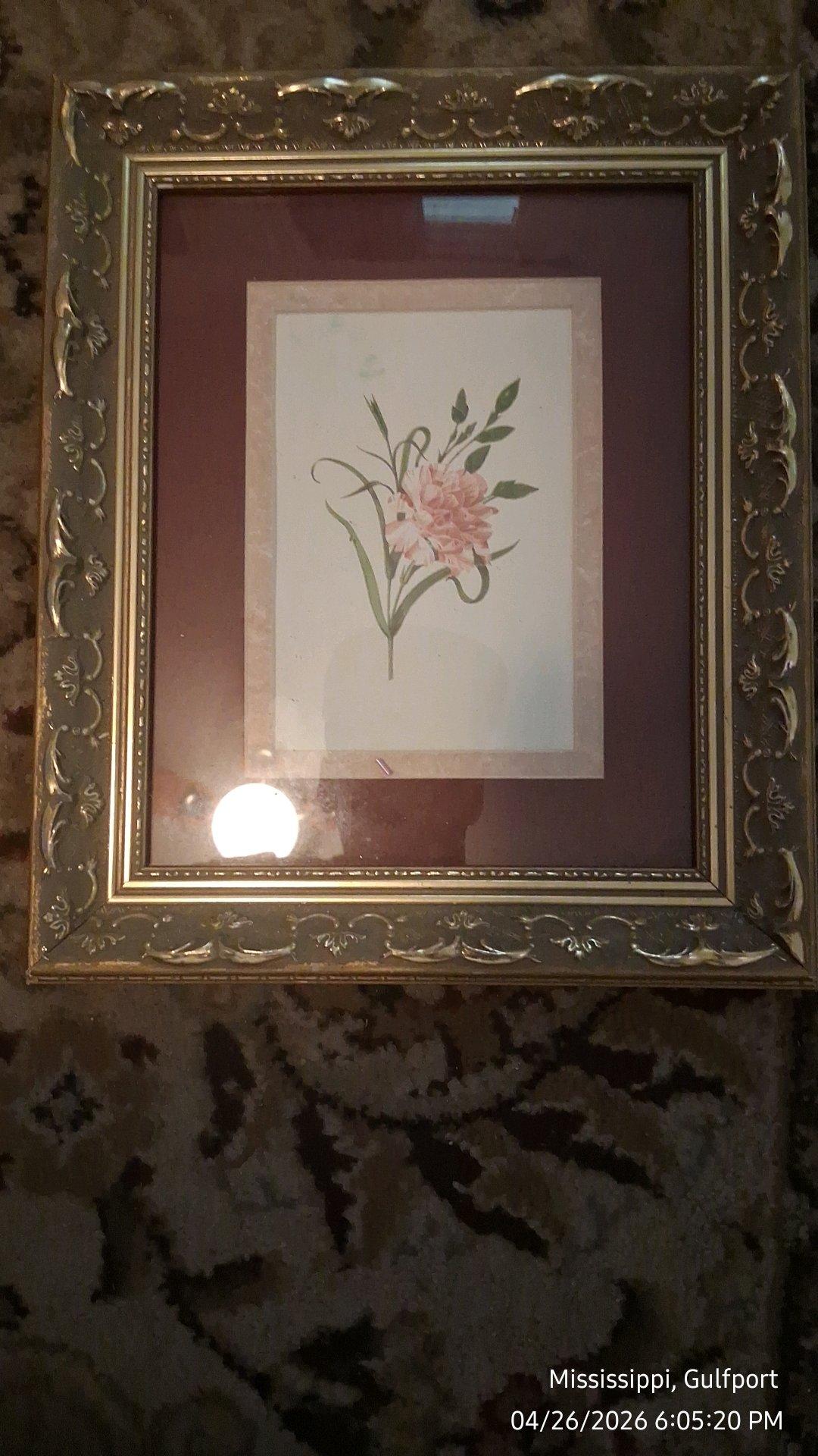 One large picture and four medium pictures in picture frames
