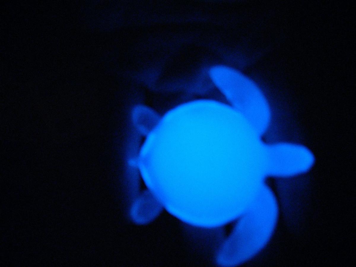 Glow in the Dark turtle magnet