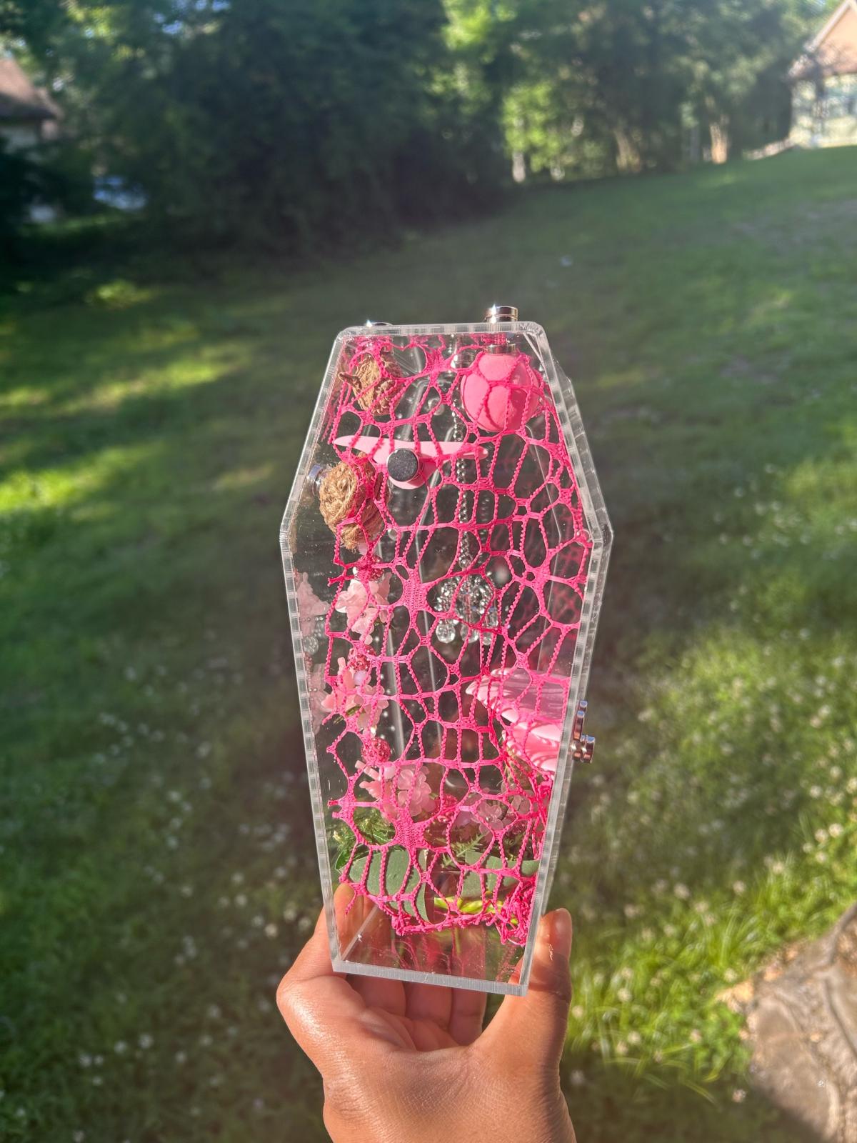 Pink Jumping spider Enclosure