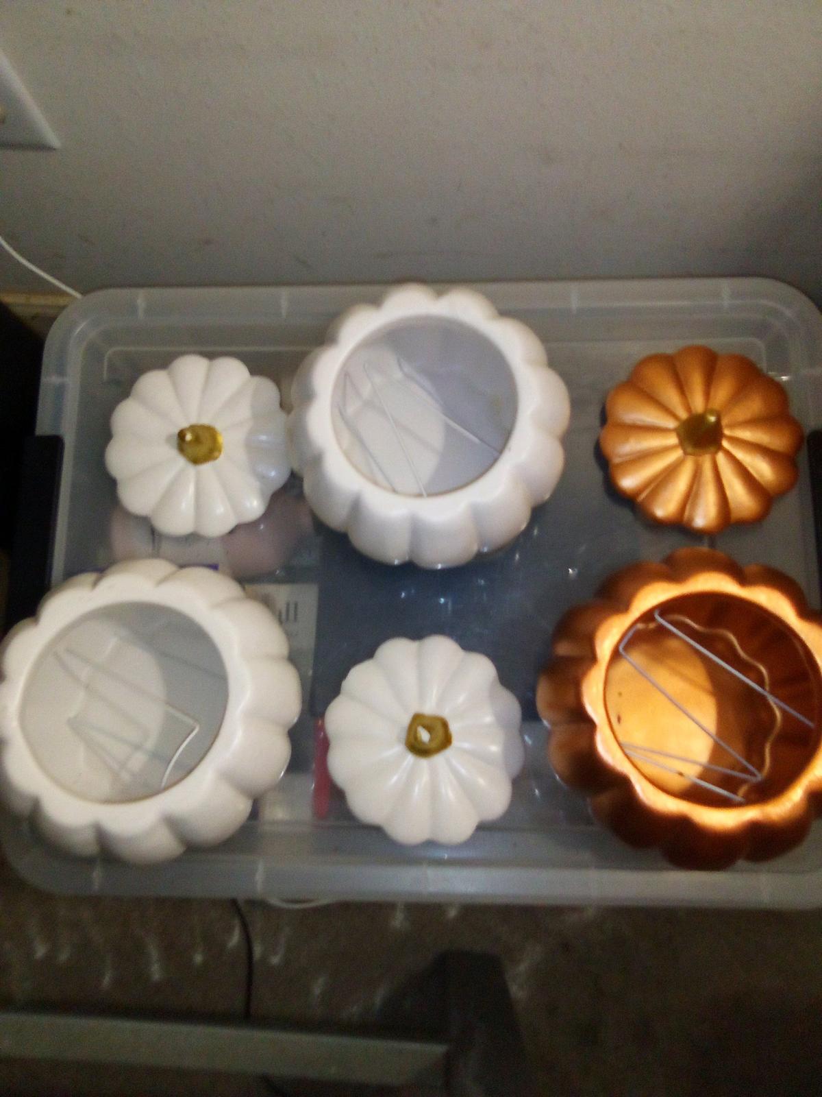 holiday pumpkins great anytime of the year