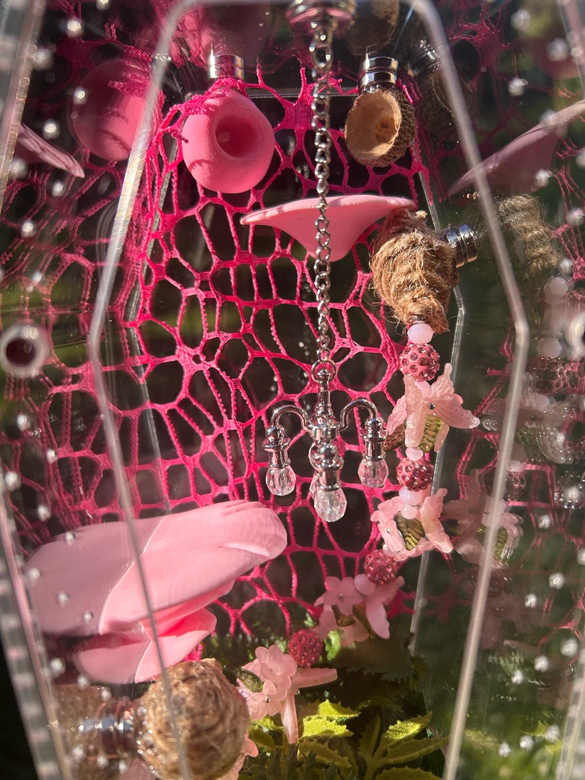 Pink Jumping spider Enclosure