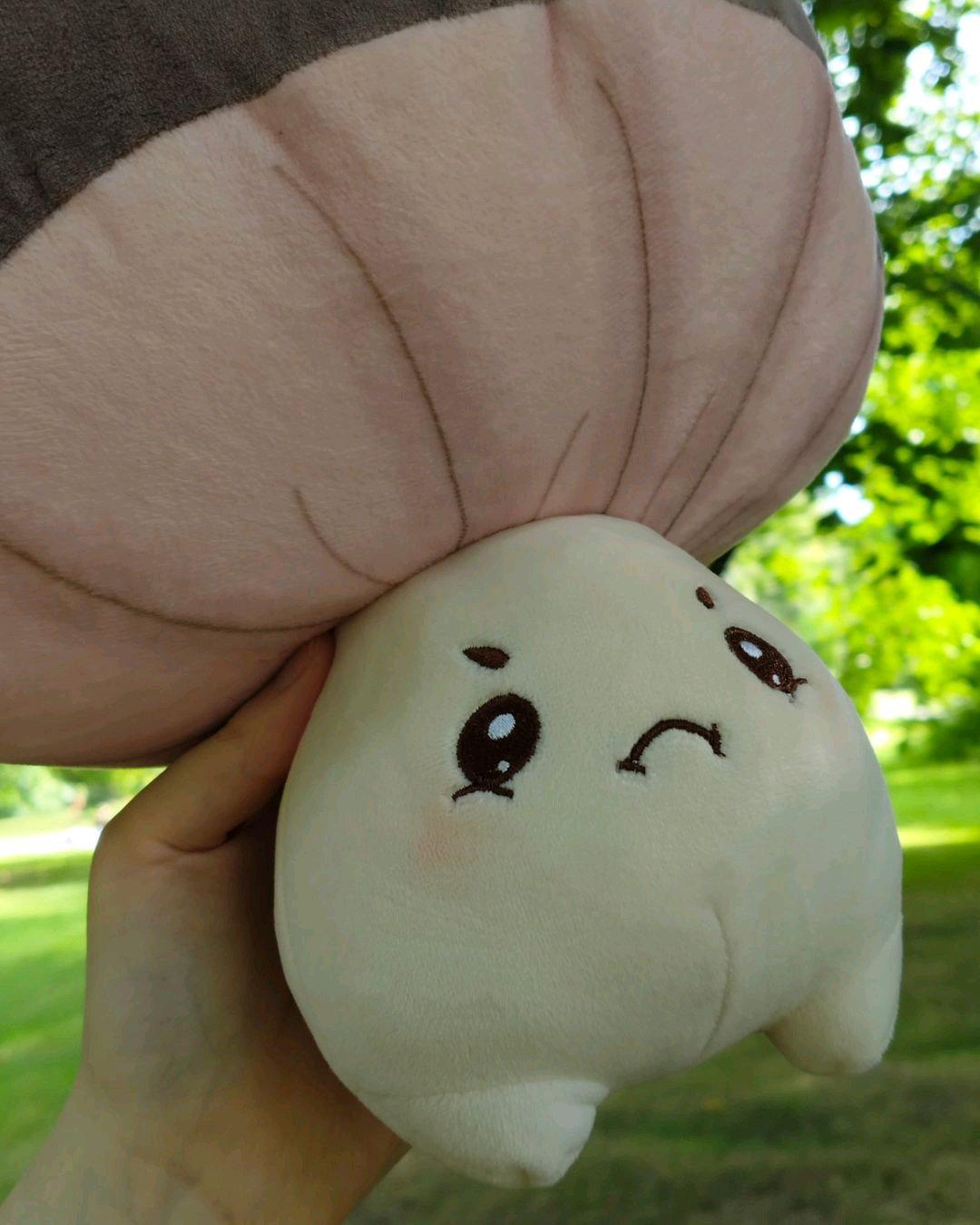 Cute crybaby mushroom plushie