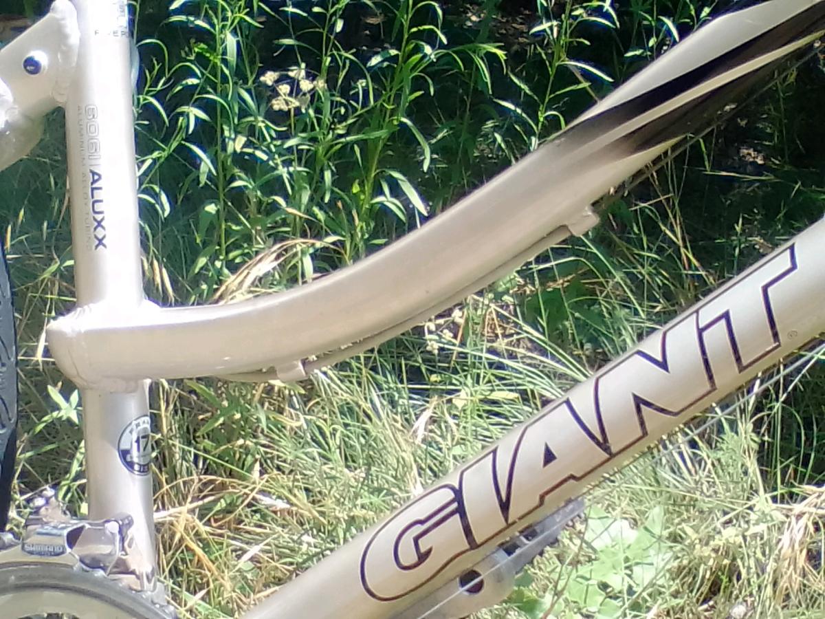 Giant Cypress cruiser Bike smoothest bike ride