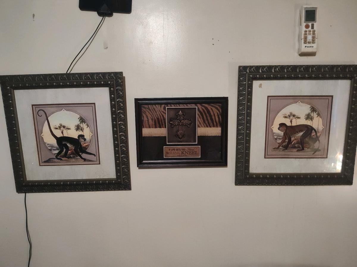 pictures