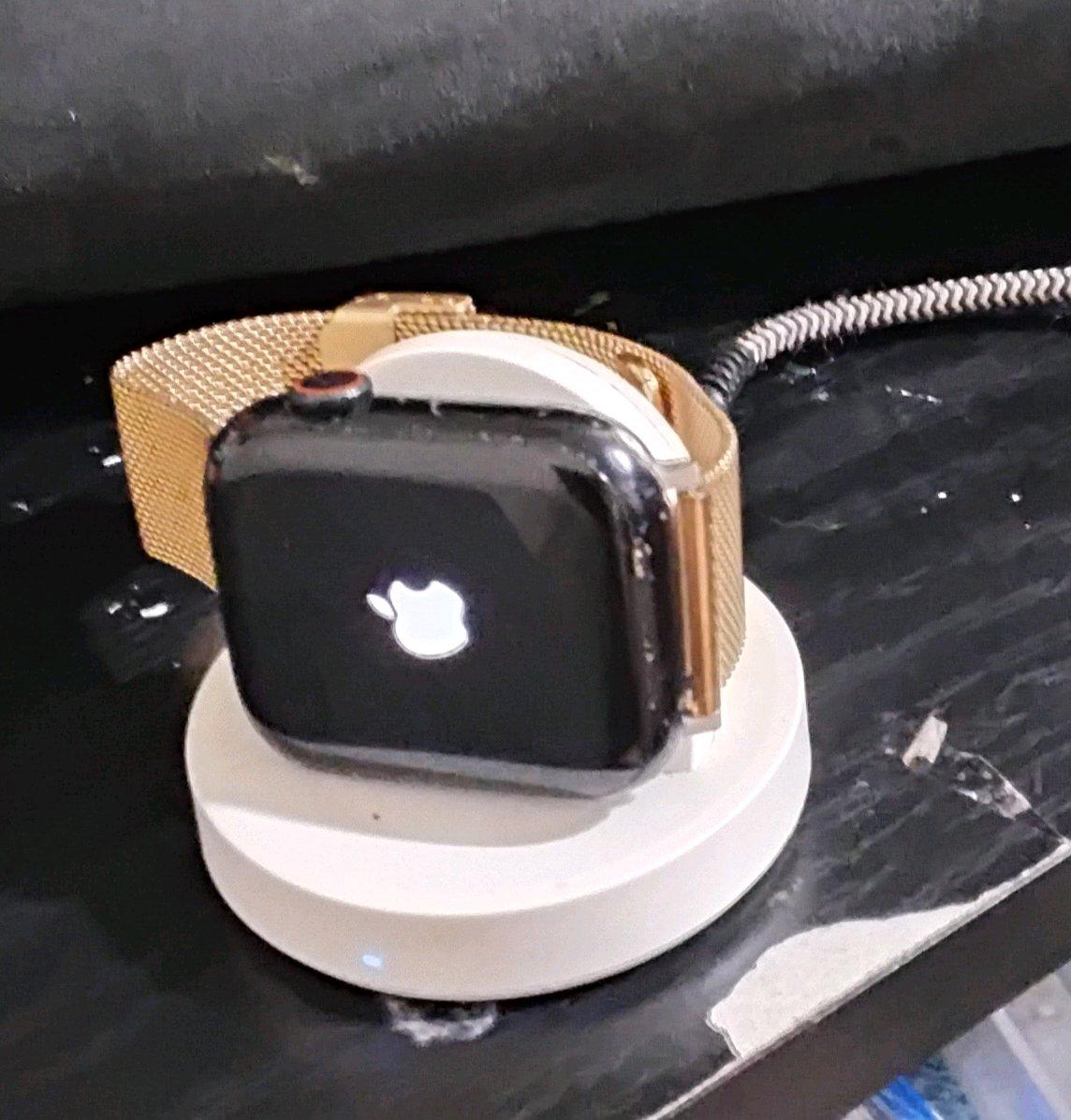Apple Watch Series 8  45mm  GPS  LTE   Aluminum