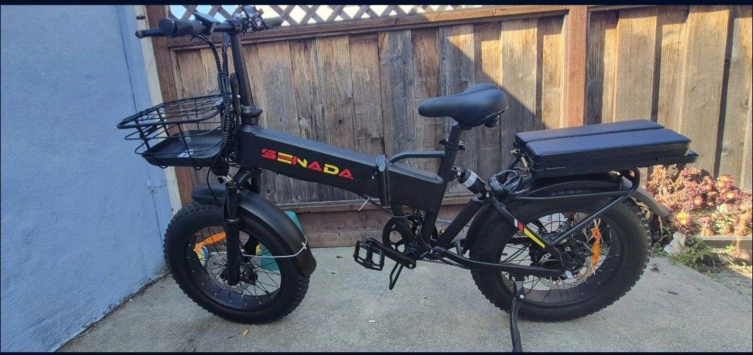 Sanada gladiator cargo ebike