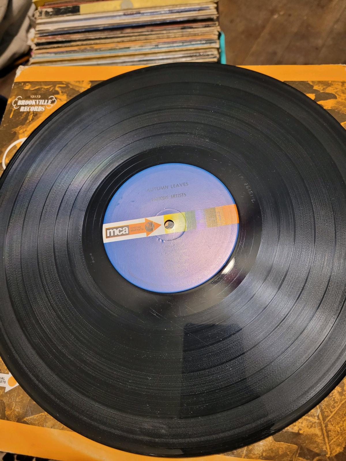Autumn leaves vinyl record