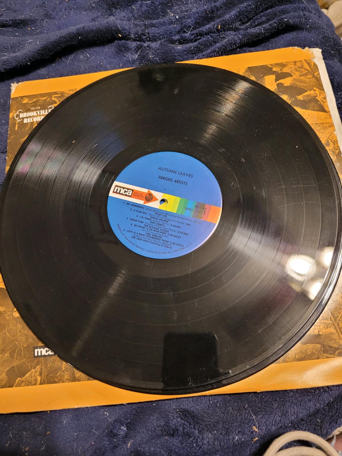 Autumn leaves vinyl record