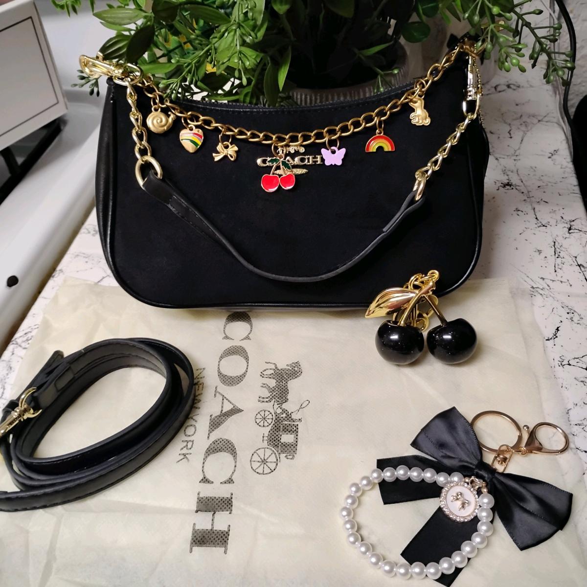 coach crossbody bag