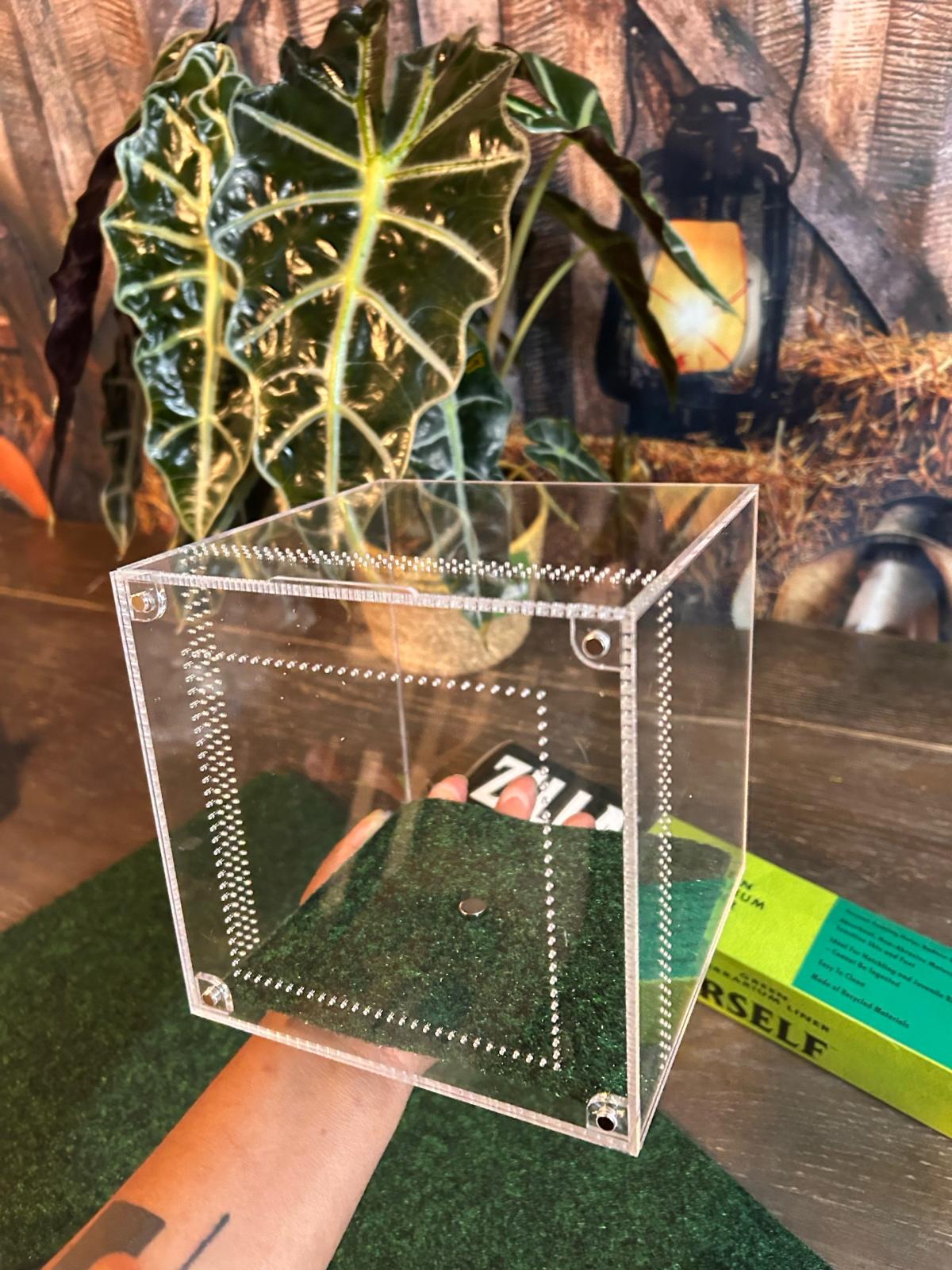 jumping spider enclosure kit aqua