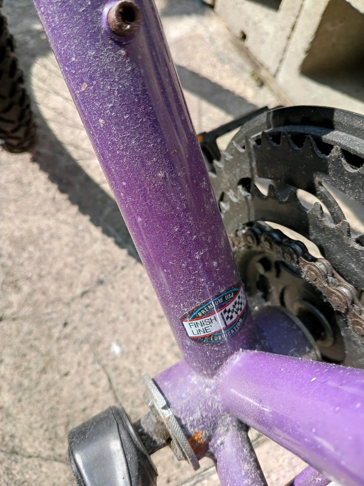 Vintage Ross Mt Jefferson Ladies Mountain Bike
