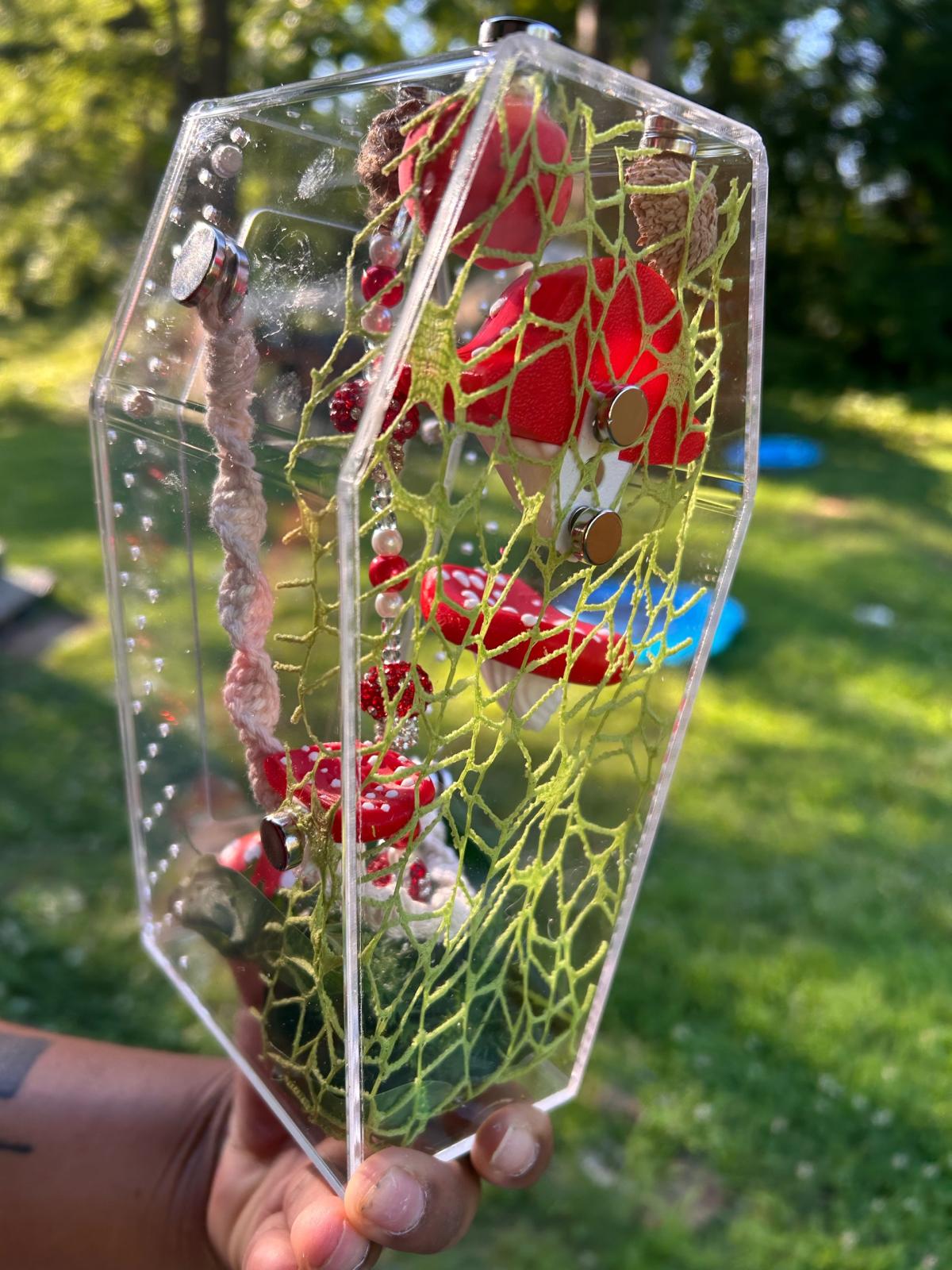 MushRoom Jumping Spider Enclosure Kit