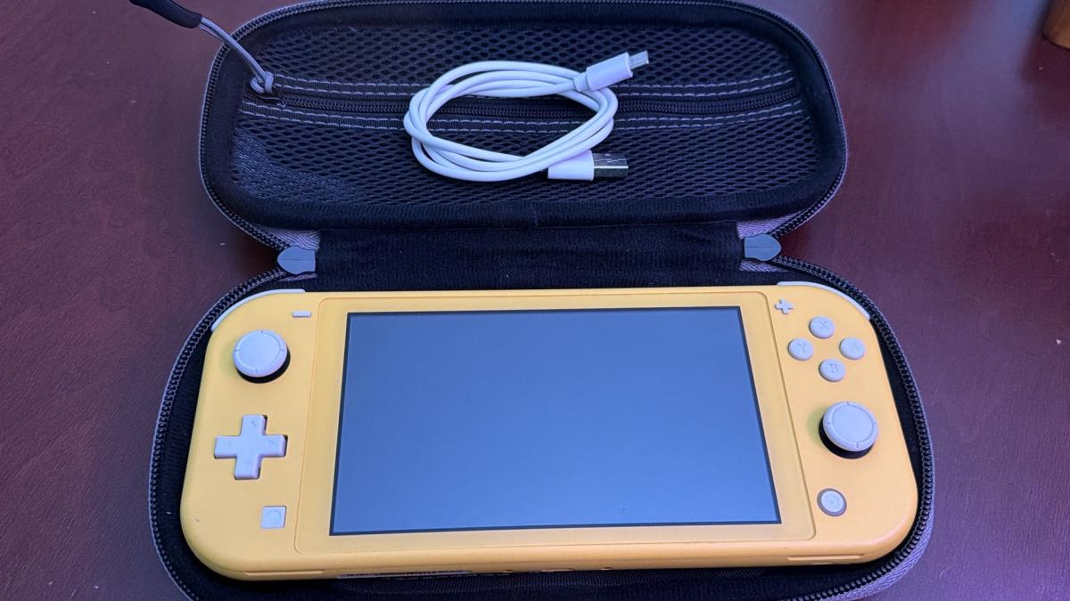 Nintendo switch lite