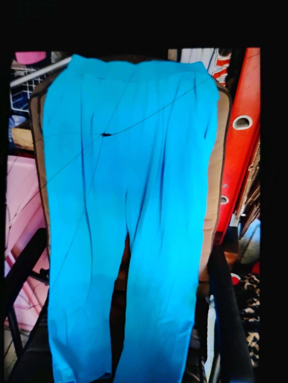 A Nice Blue Pair of Womes Capris