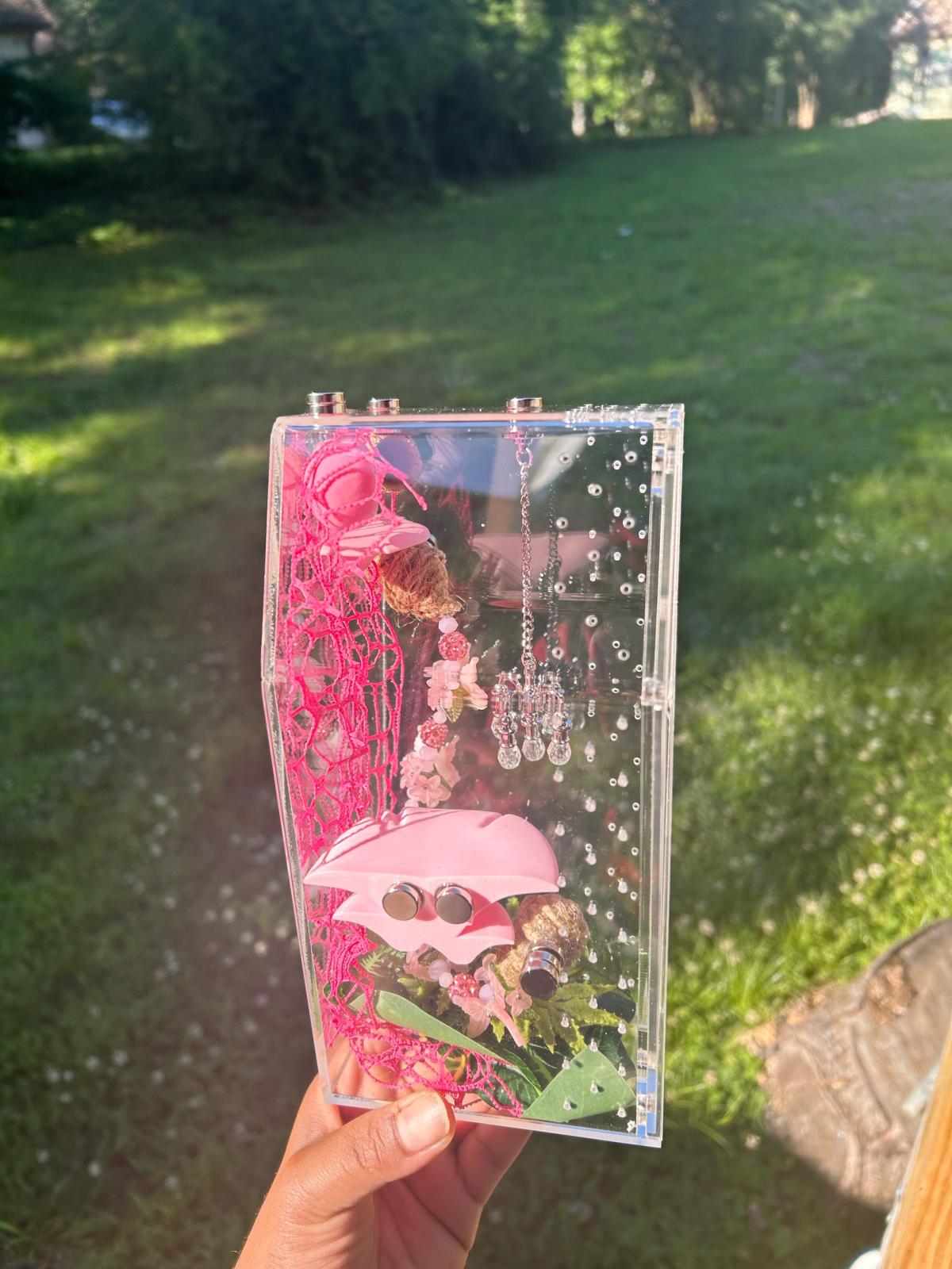 Pink Jumping spider Enclosure