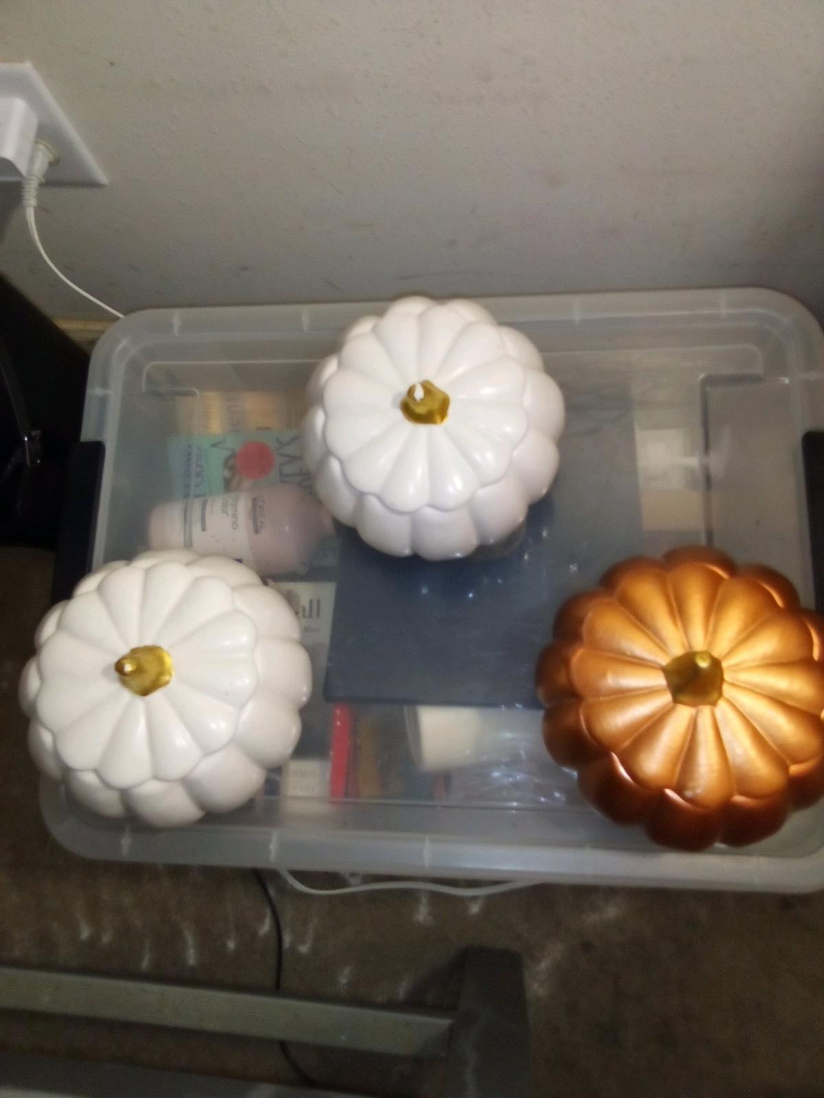 holiday pumpkins great anytime of the year