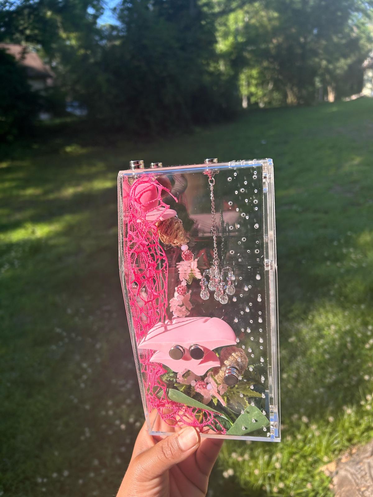 Pink Jumping spider Enclosure