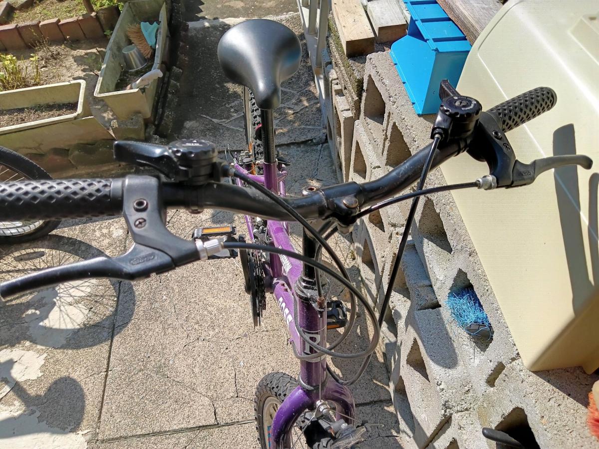 Vintage Ross Mt Jefferson Ladies Mountain Bike
