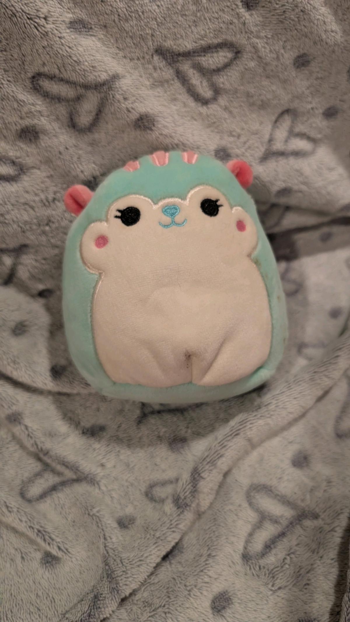 mini squirrel squishmallow teal and pink