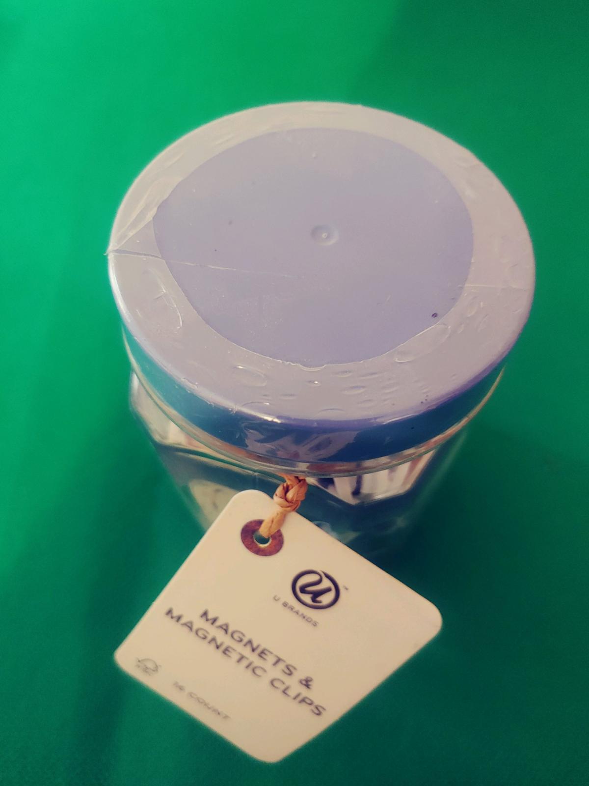 Magnet with Magnetic Clilps 16 Count