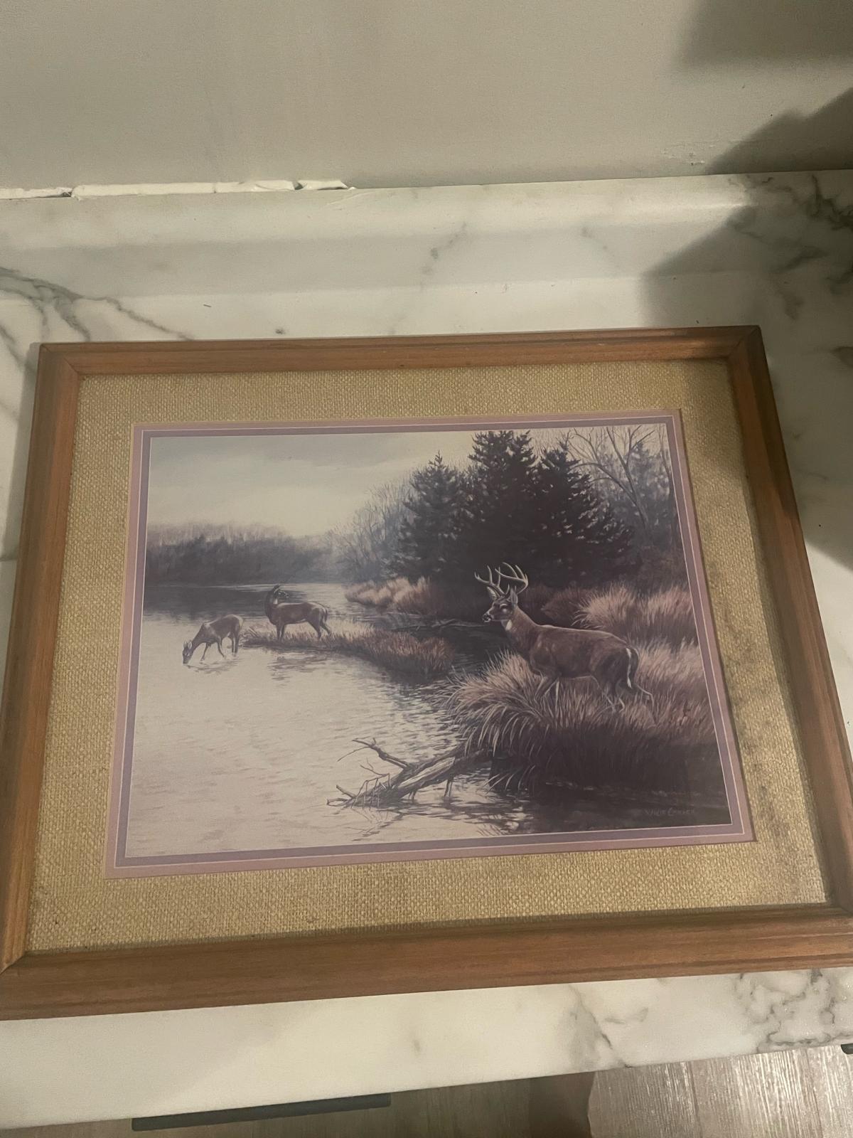 Exclusive Beautiful Deer Lookout At Watering Hole framed  pa