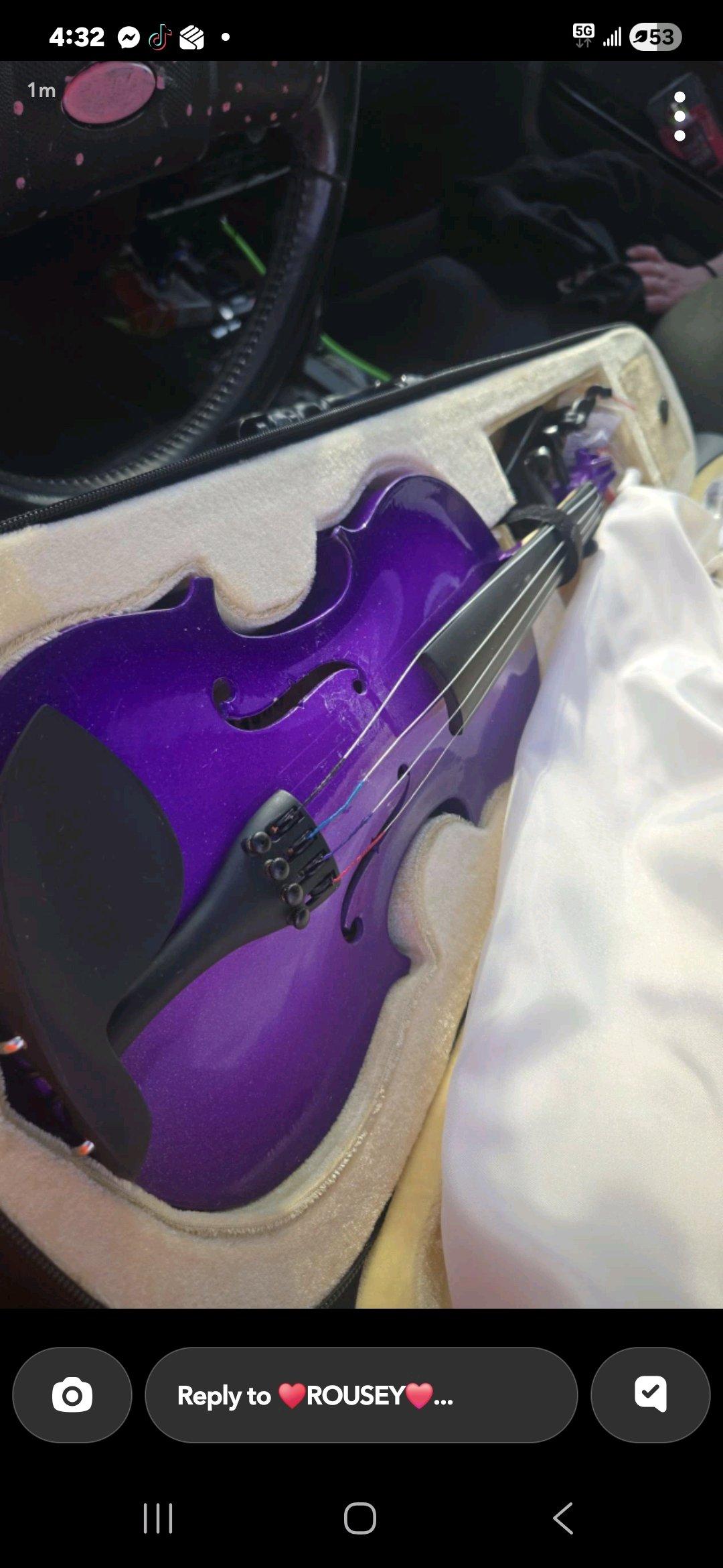 Purple Violin