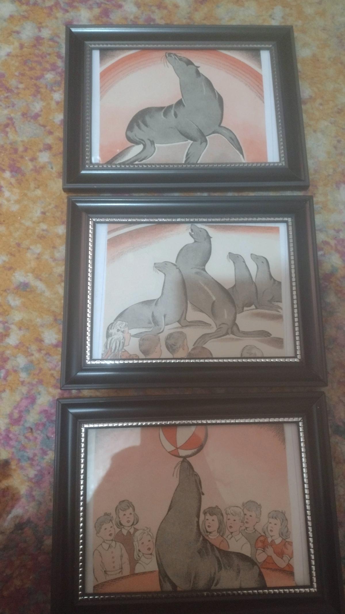 Vintage Illustrations of Circus Seals in Frames