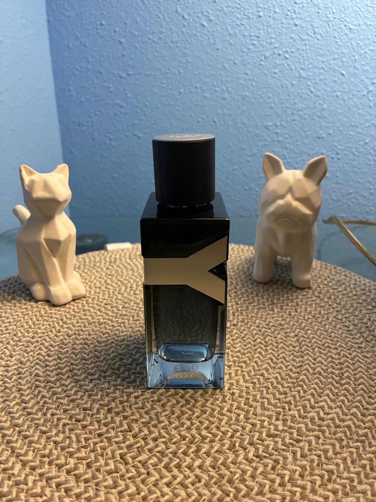 YSL Y Eau de Parfum For Men