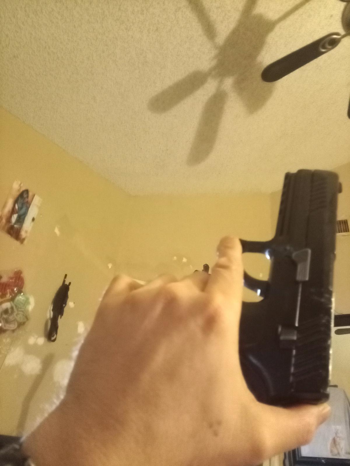 sigsaur p320 pelletgun