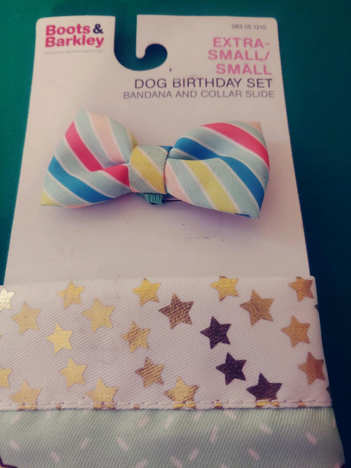 DOG Birthday Set Bandana and Collar Slide