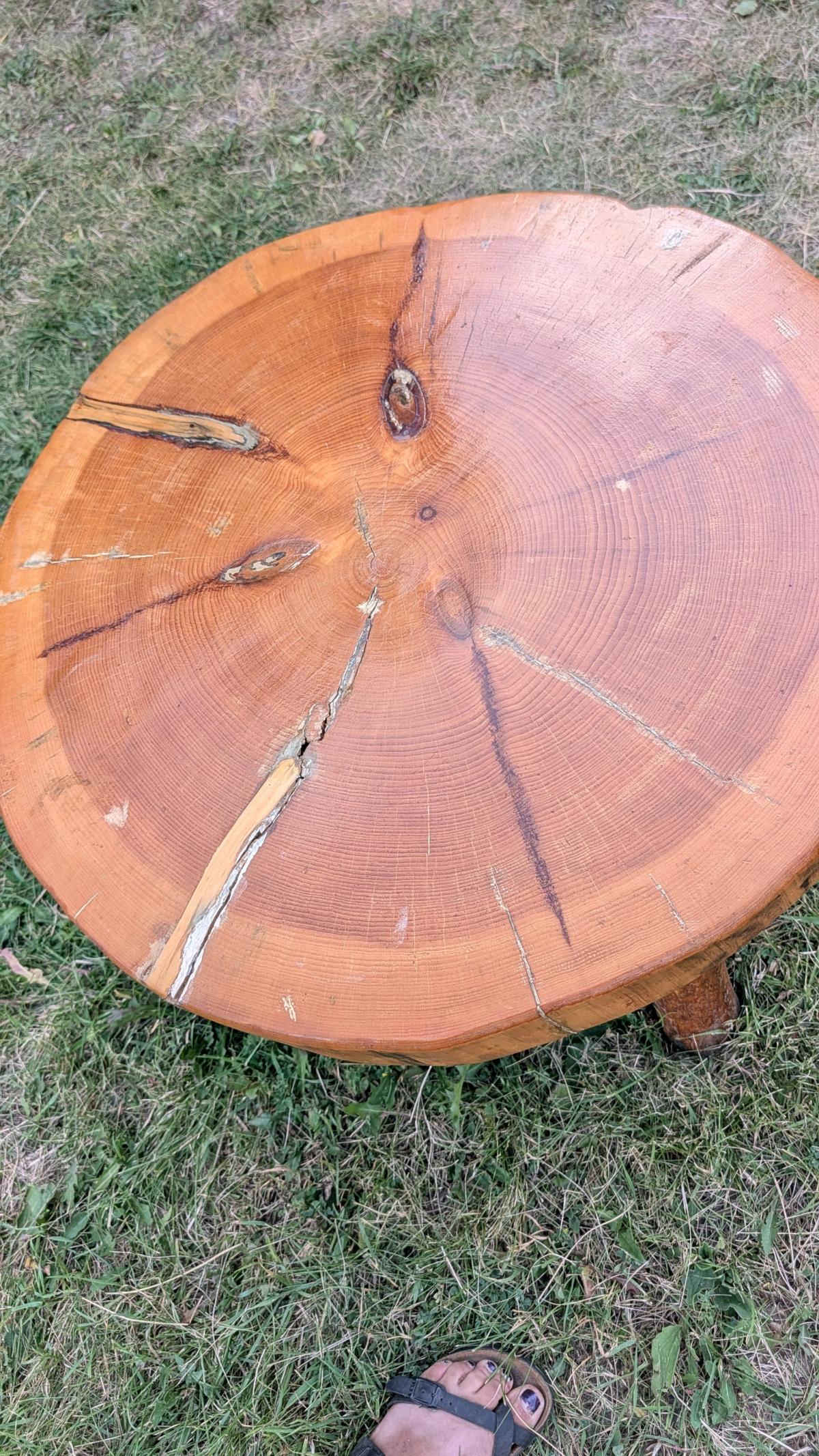 Log Coffee Table