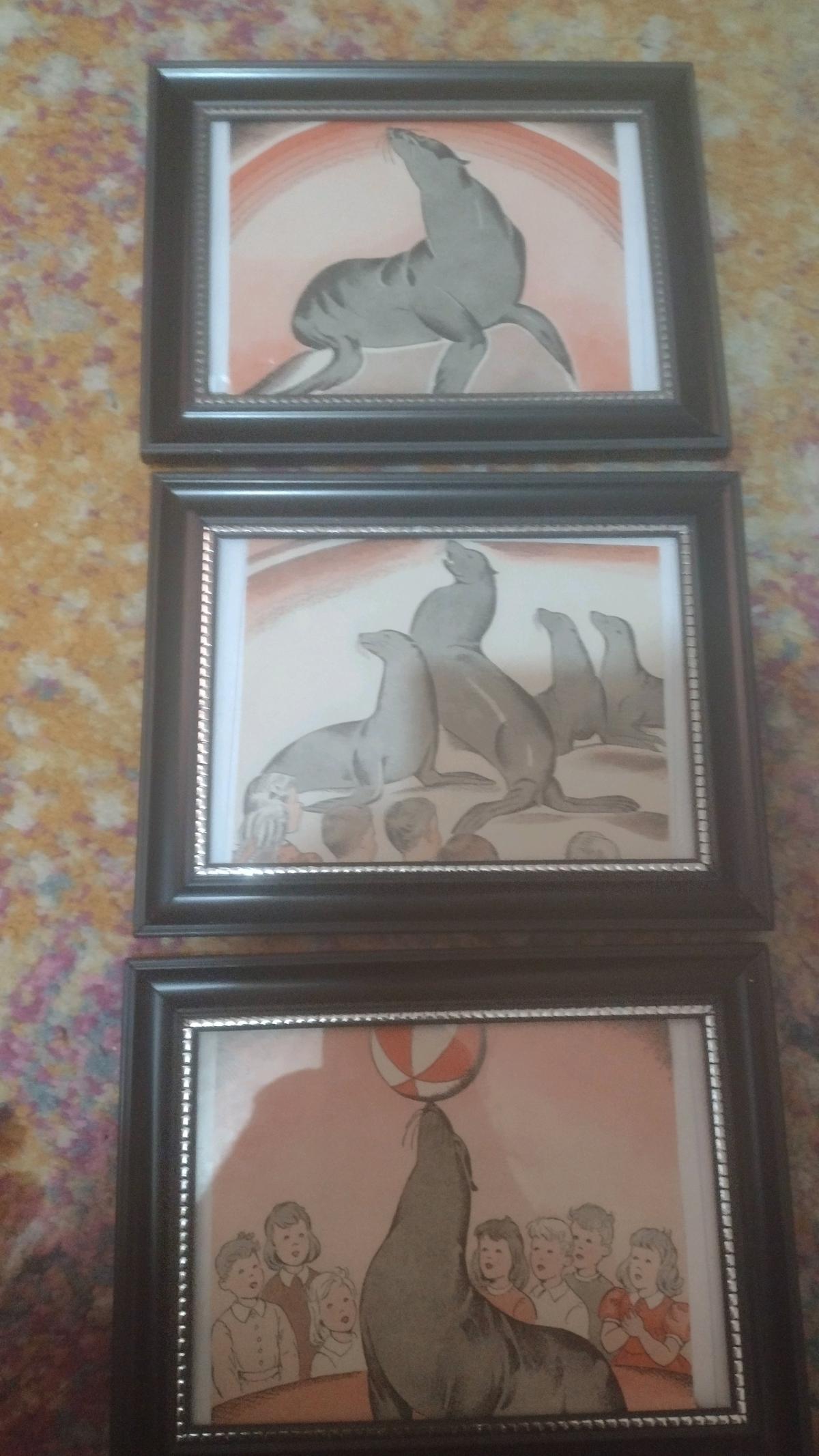 Vintage Illustrations of Circus Seals in Frames