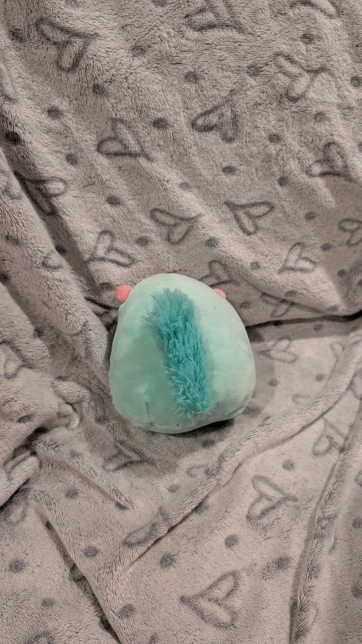 mini squirrel squishmallow teal and pink