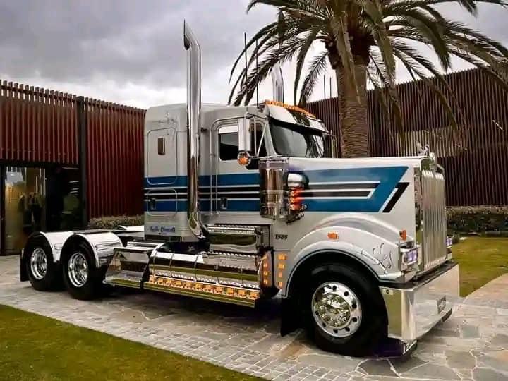 Neatly used 2019 Freightliner Cascadia truck