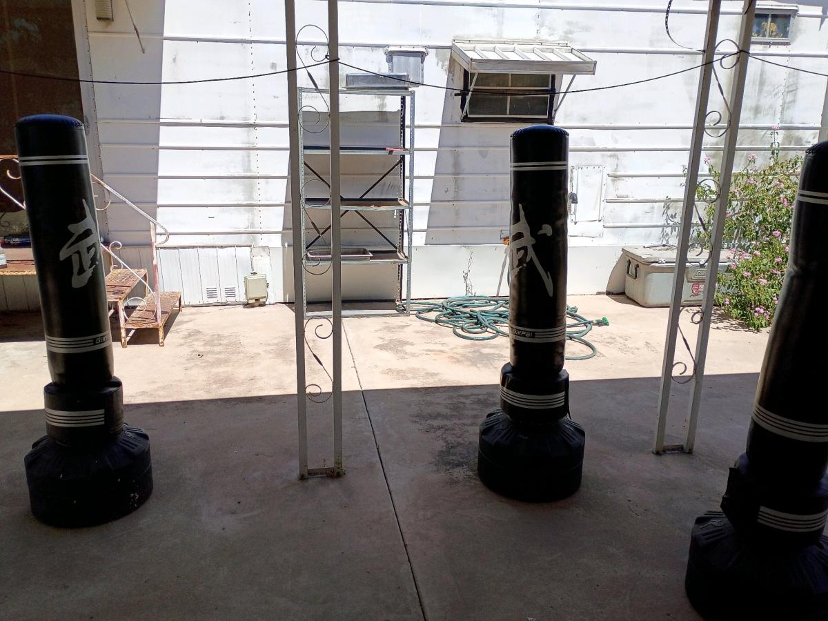three punching bags and a yoga ball and a yoga ball