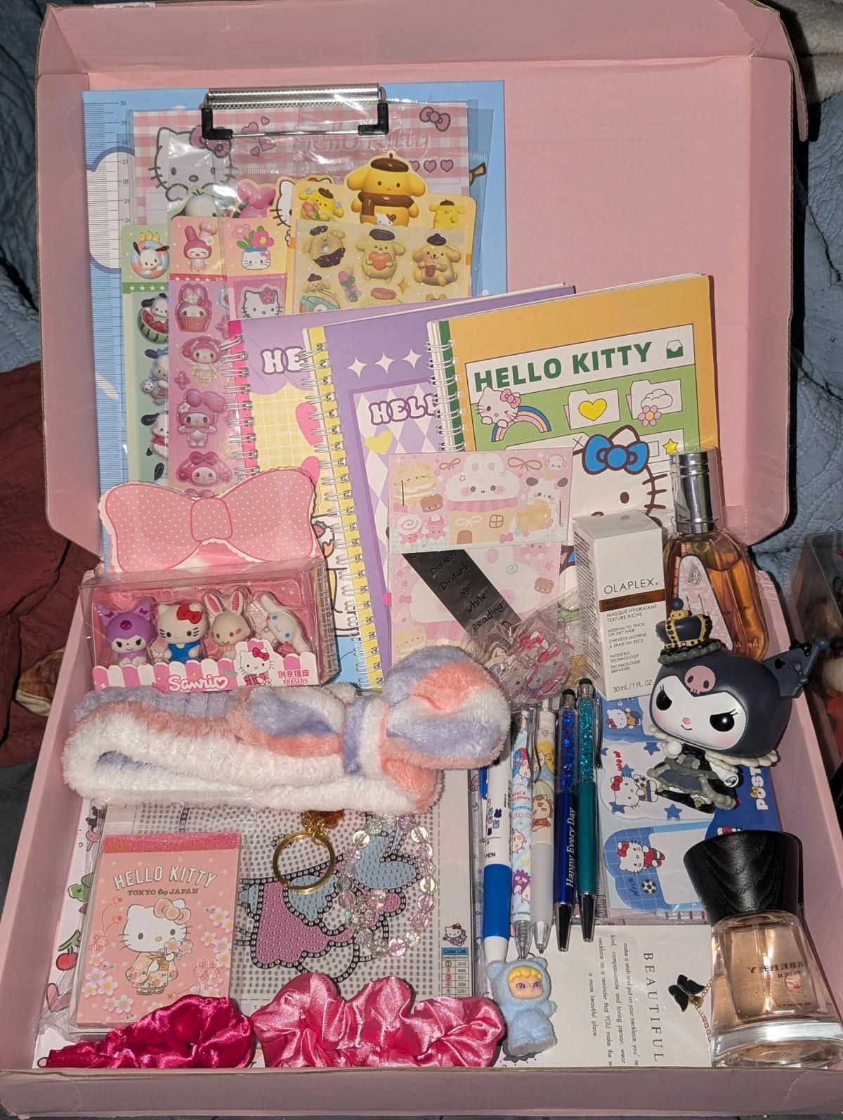 Large sanrio bundle box
