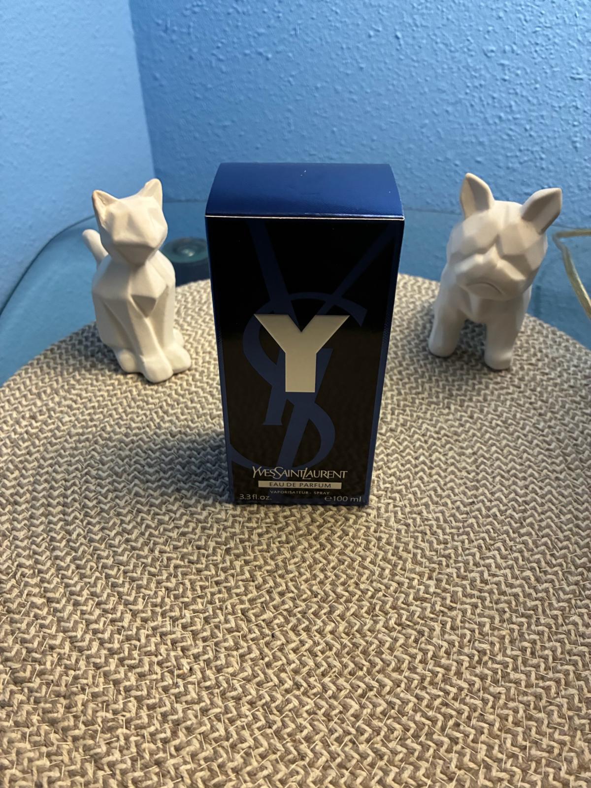 YSL Y Eau de Parfum For Men