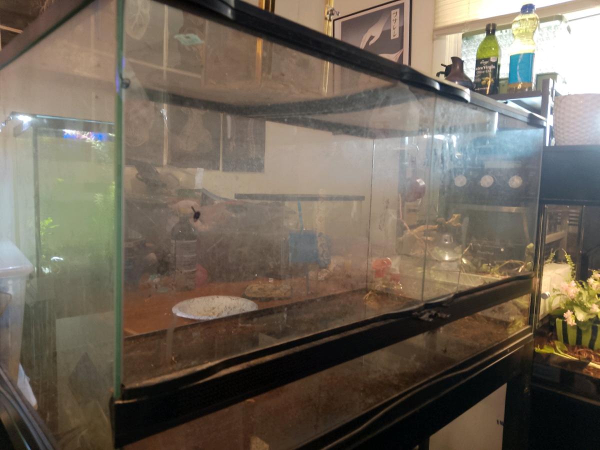 40 gallon reptizoo front open terrarium with metal stand