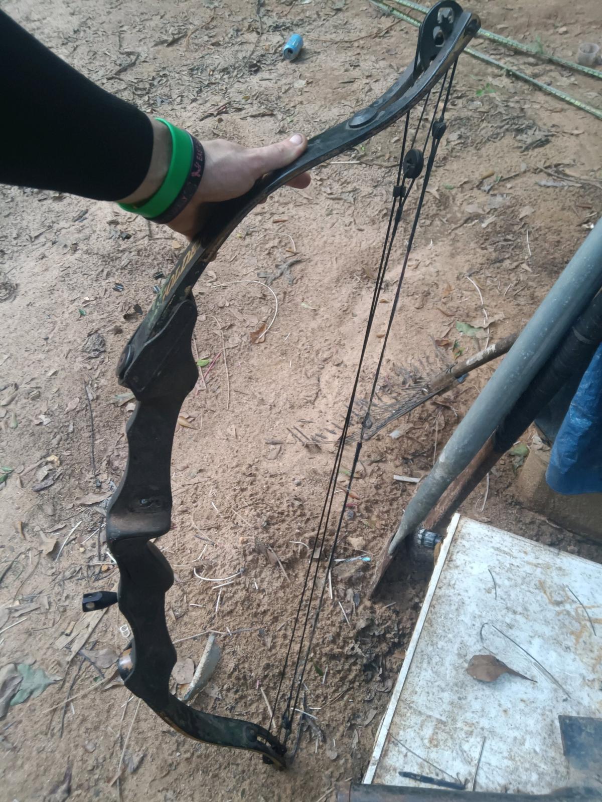 Golden Eagle compound bow in good condition