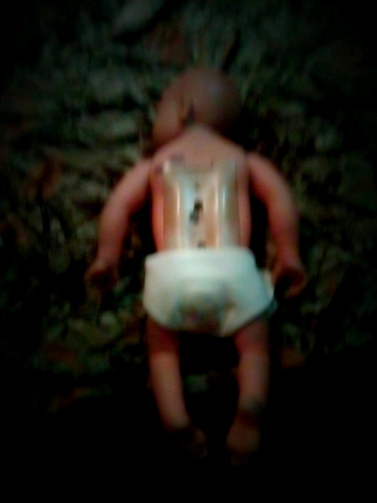 realcare baby 2 plus that they use for parenting class