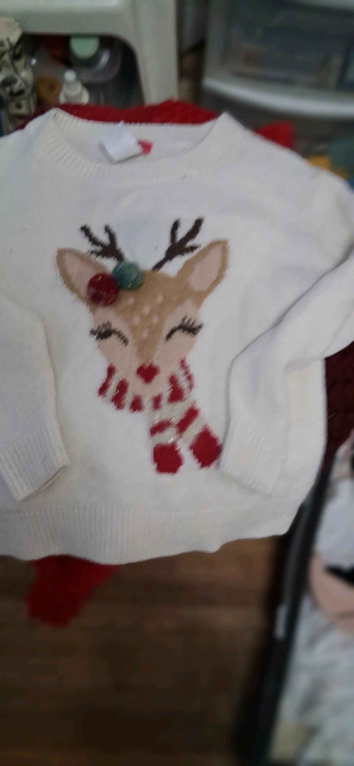 ZUNIE 4 TO 6 TODDLER sweater