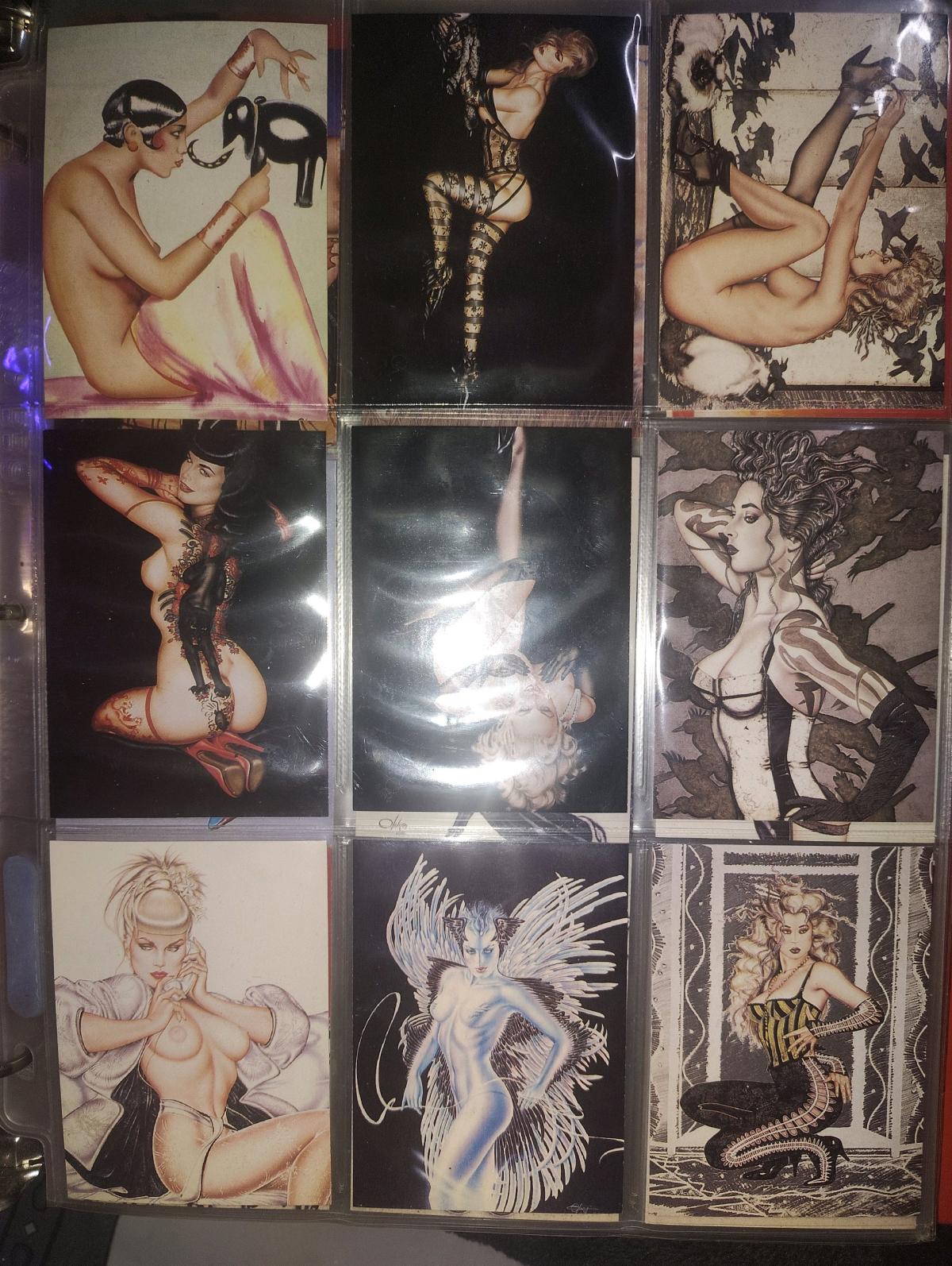 two complete sets of collectible cards featuring pornstars