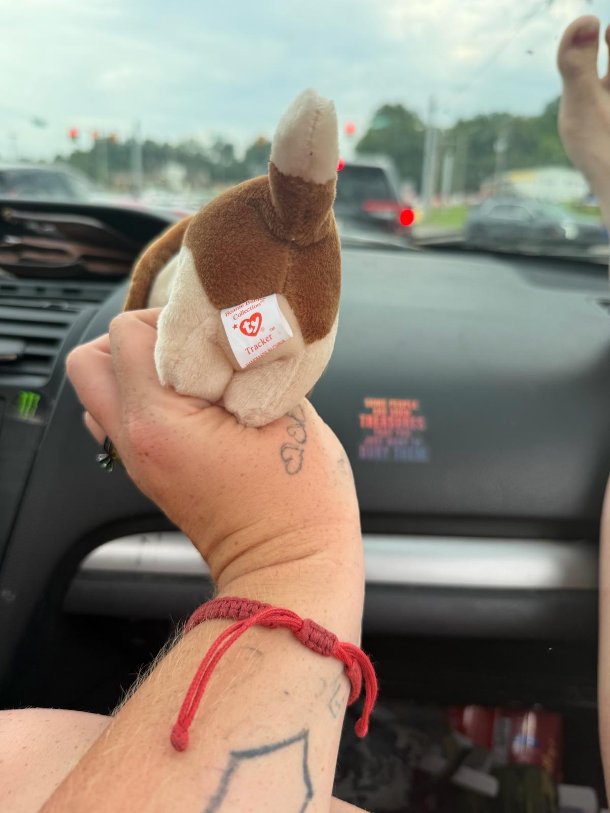Ty beanie babies this is tracker