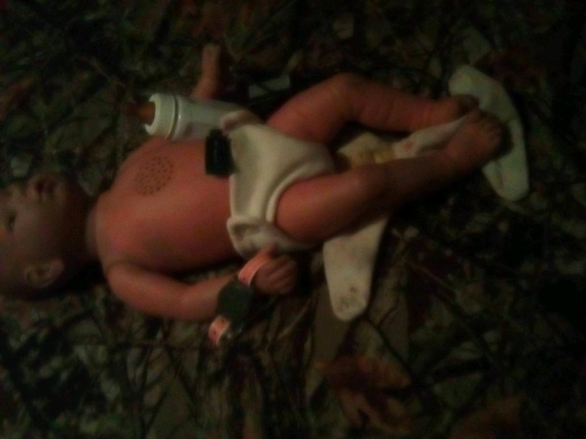 realcare baby 2 plus that they use for parenting class