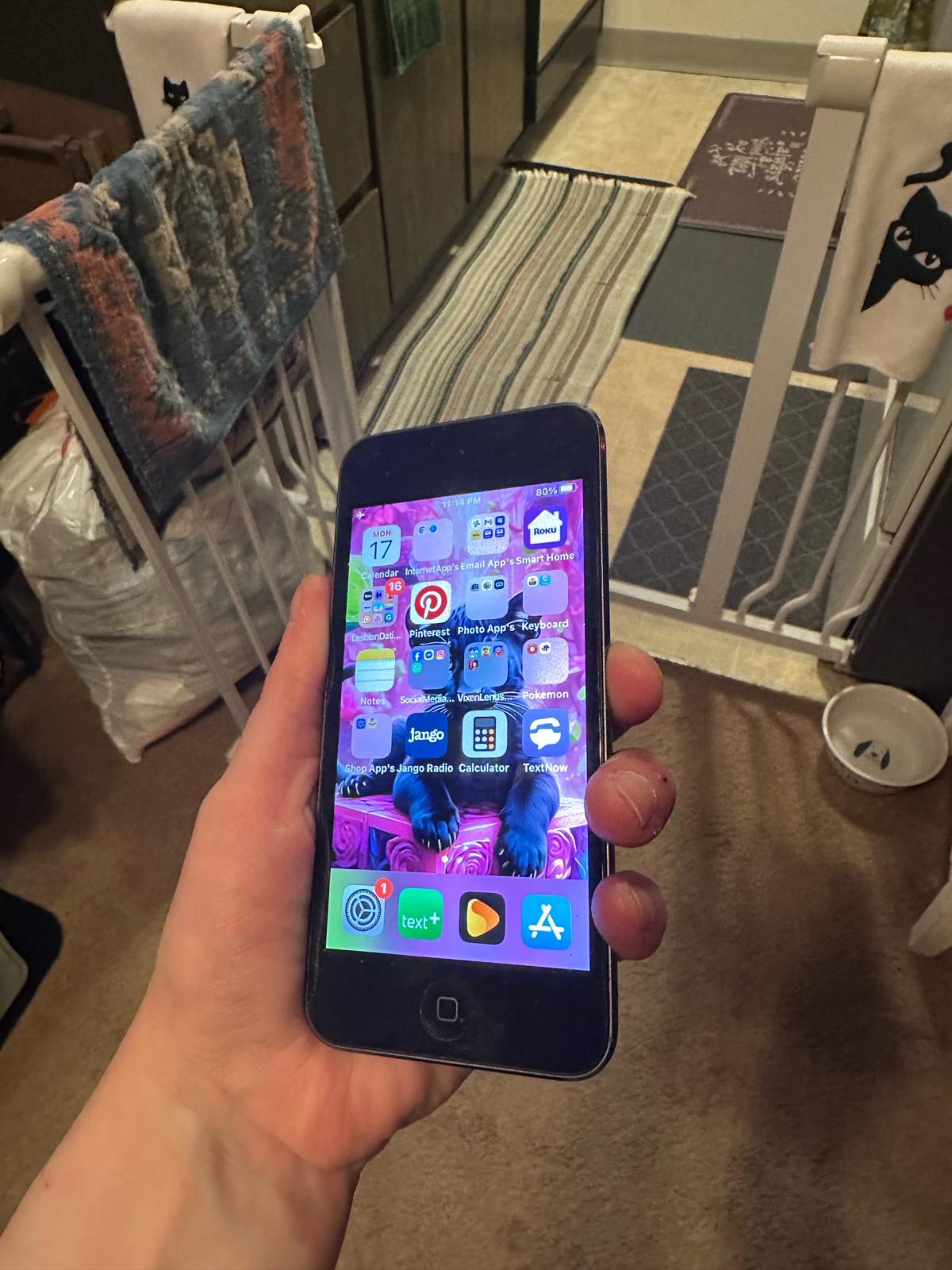 Apple IPod Touch