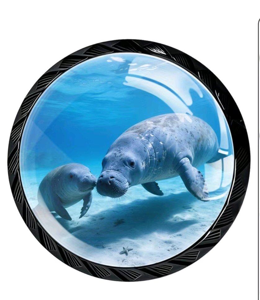Set of Four Doorknobs with Manatee
