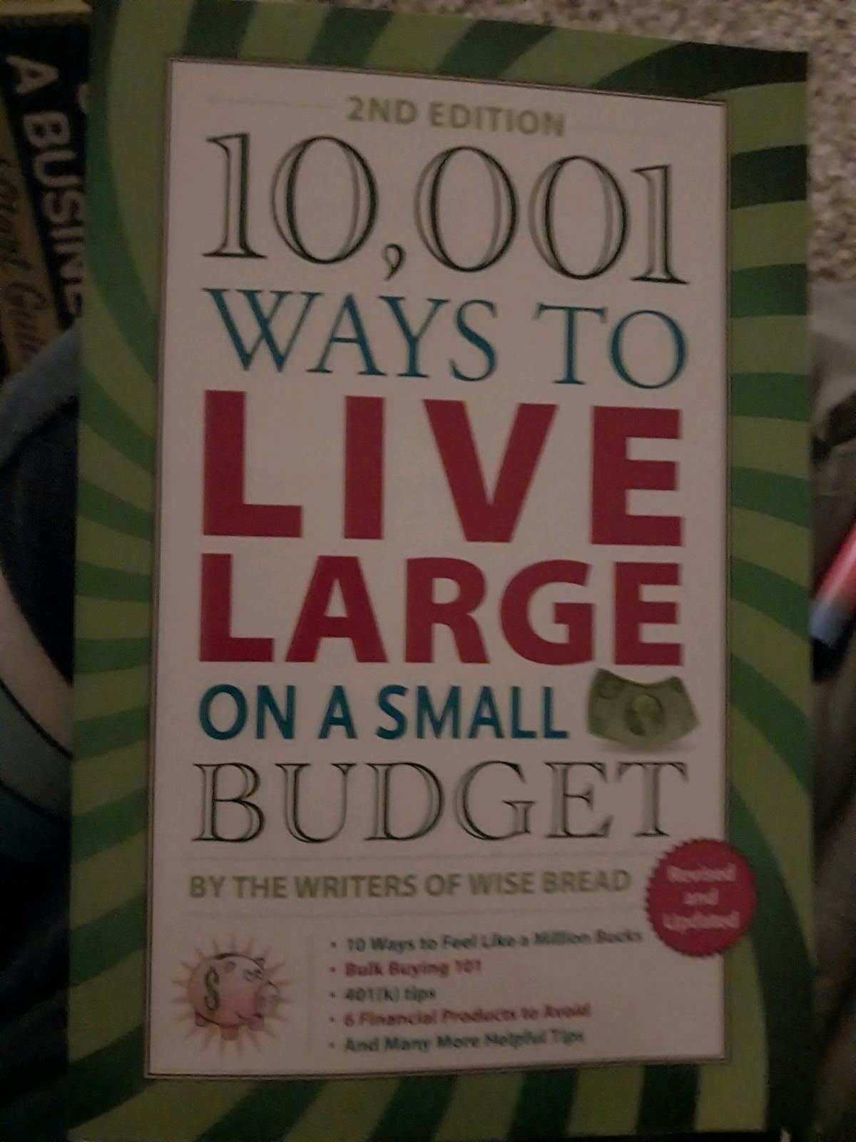 brand new book 10001 ways to live large on a small budget