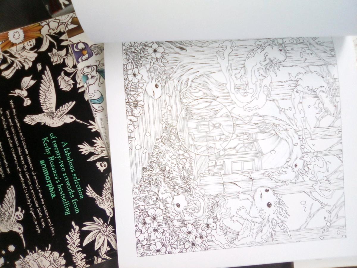 new coloring books